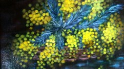 Le panier aux mimosas