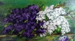 Fleurs Les lilas de mon jardin 6