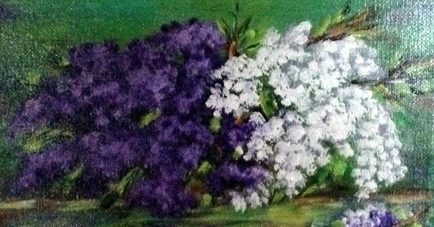 Fleurs Les lilas de mon jardin 6