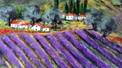 Lavandes en provence 4